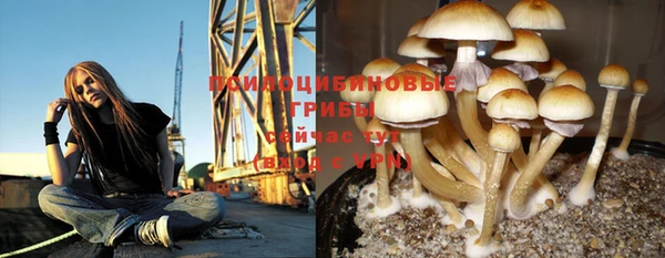 прущая мука Алзамай